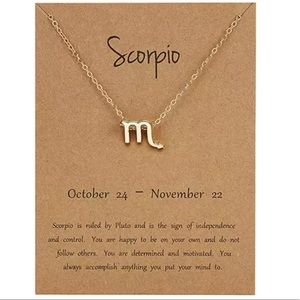 🌻3/$15🌻 Zodiac Sign Scorpio Necklace✨